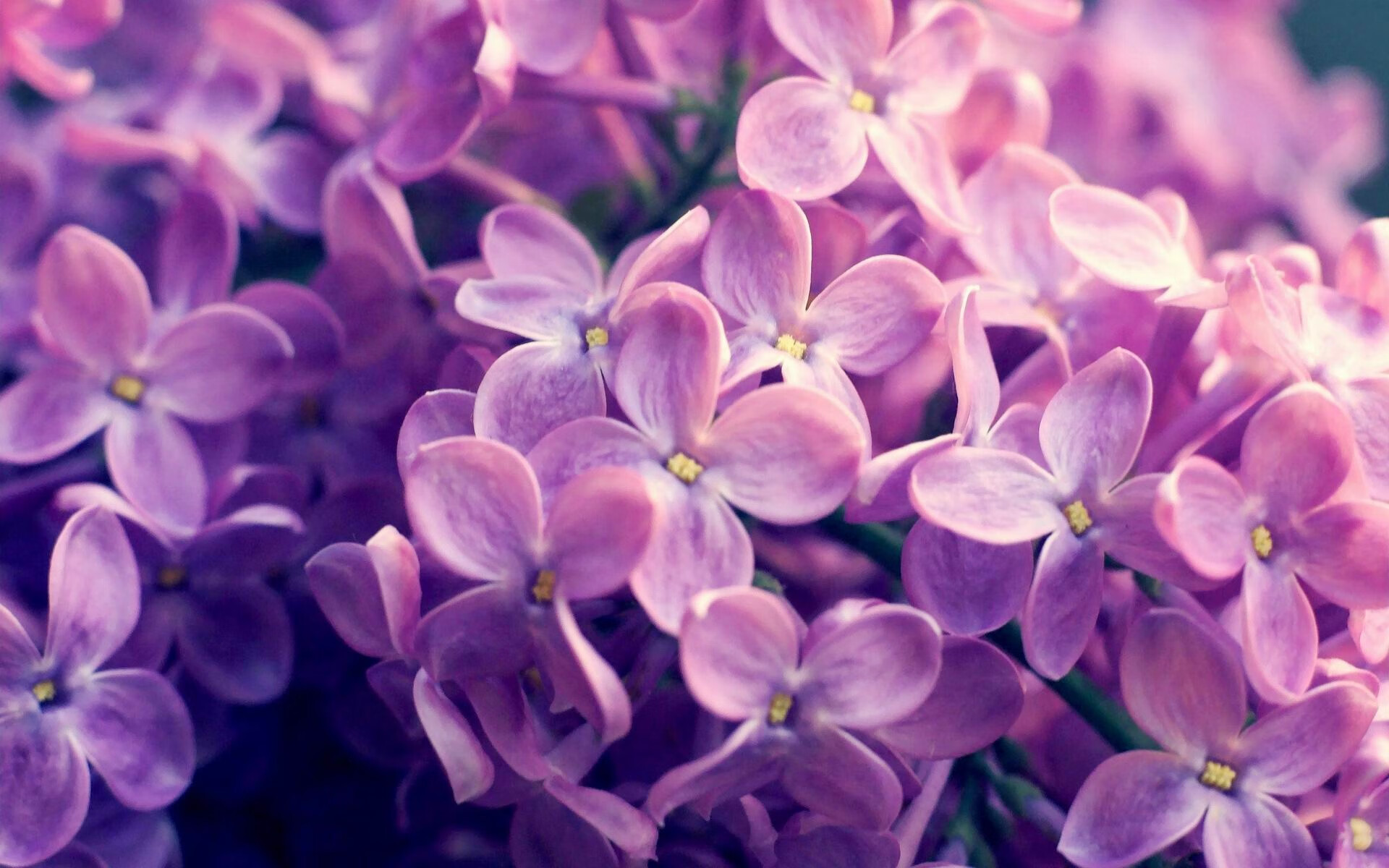 LCS新赛季赛制改革解读，lcs2021赛季