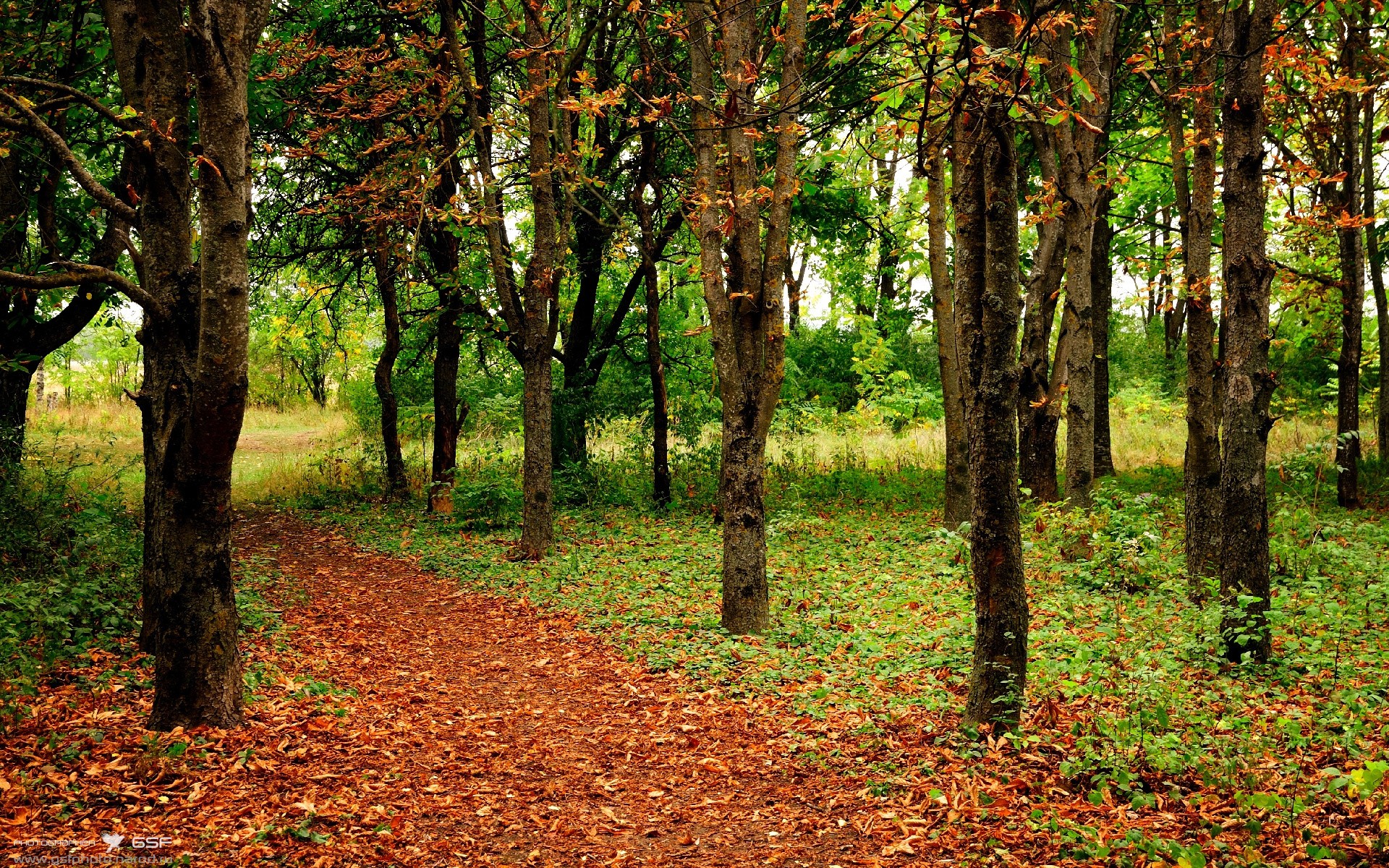 -利物浦1-0富勒姆，萨拉赫制胜，利物浦vs富勒姆聚胜顽球汇