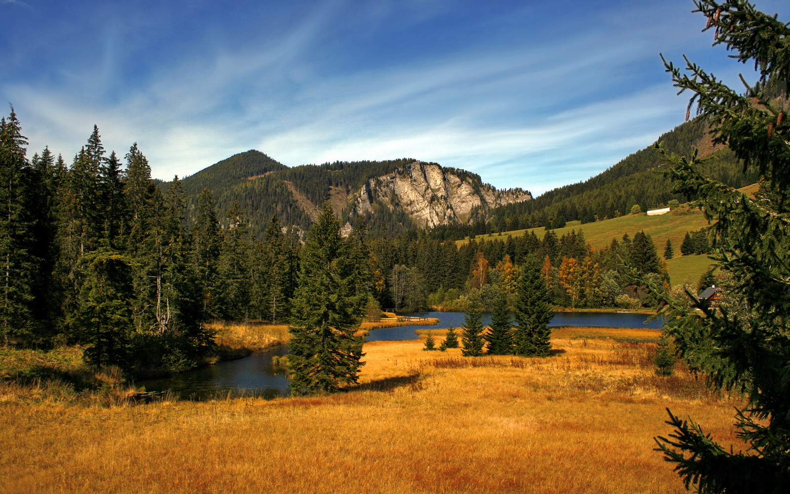 山东泰山防守端表现提升，山东泰山队重大调整
