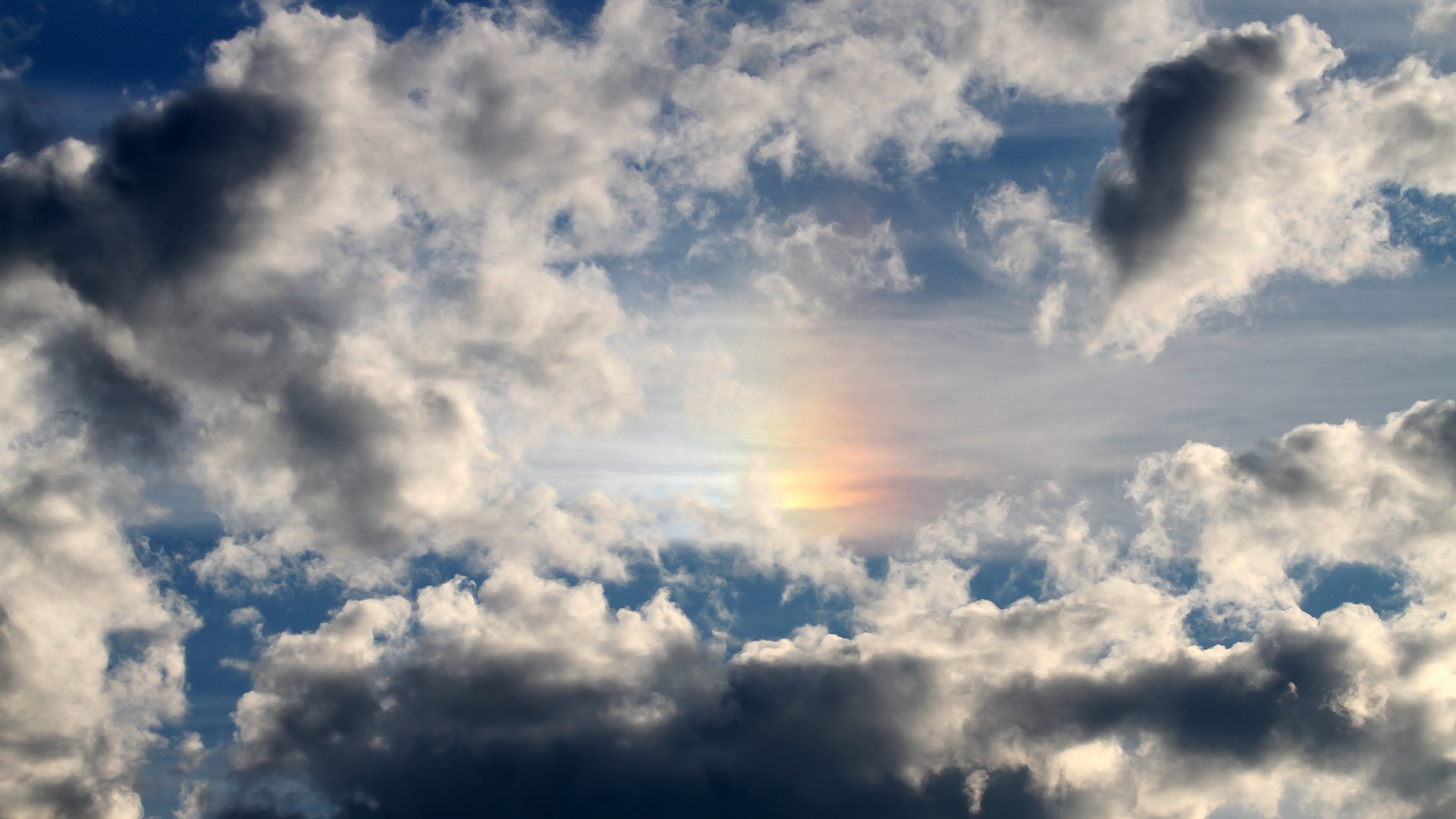 乐鱼体育全站-莱斯特城主场氛围热烈，球迷支持不减，莱斯特城 球员