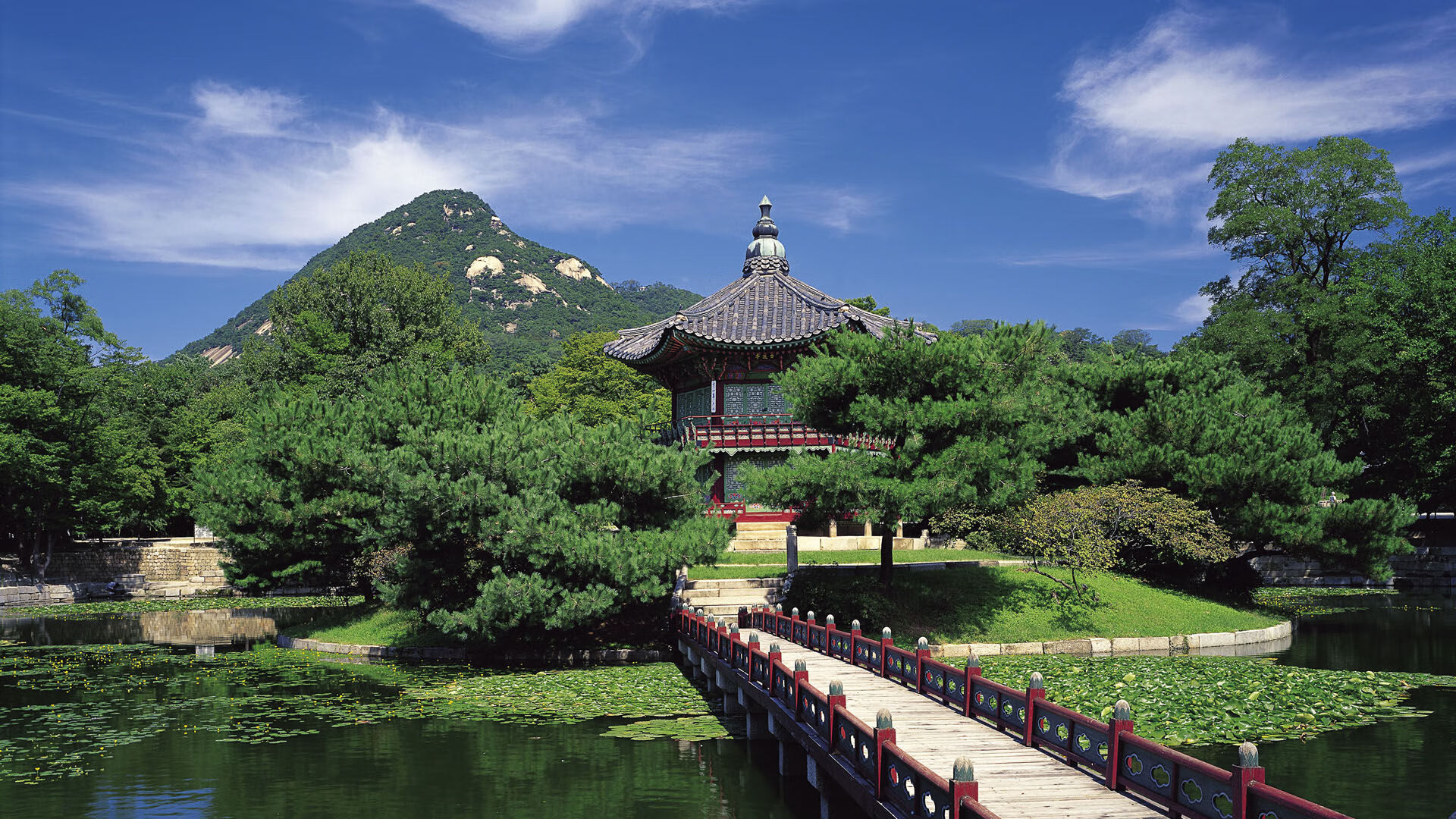 乐鱼体育登陆-体育新闻中心协助高校建设体育新闻创新实验室，学校体育新闻稿范文