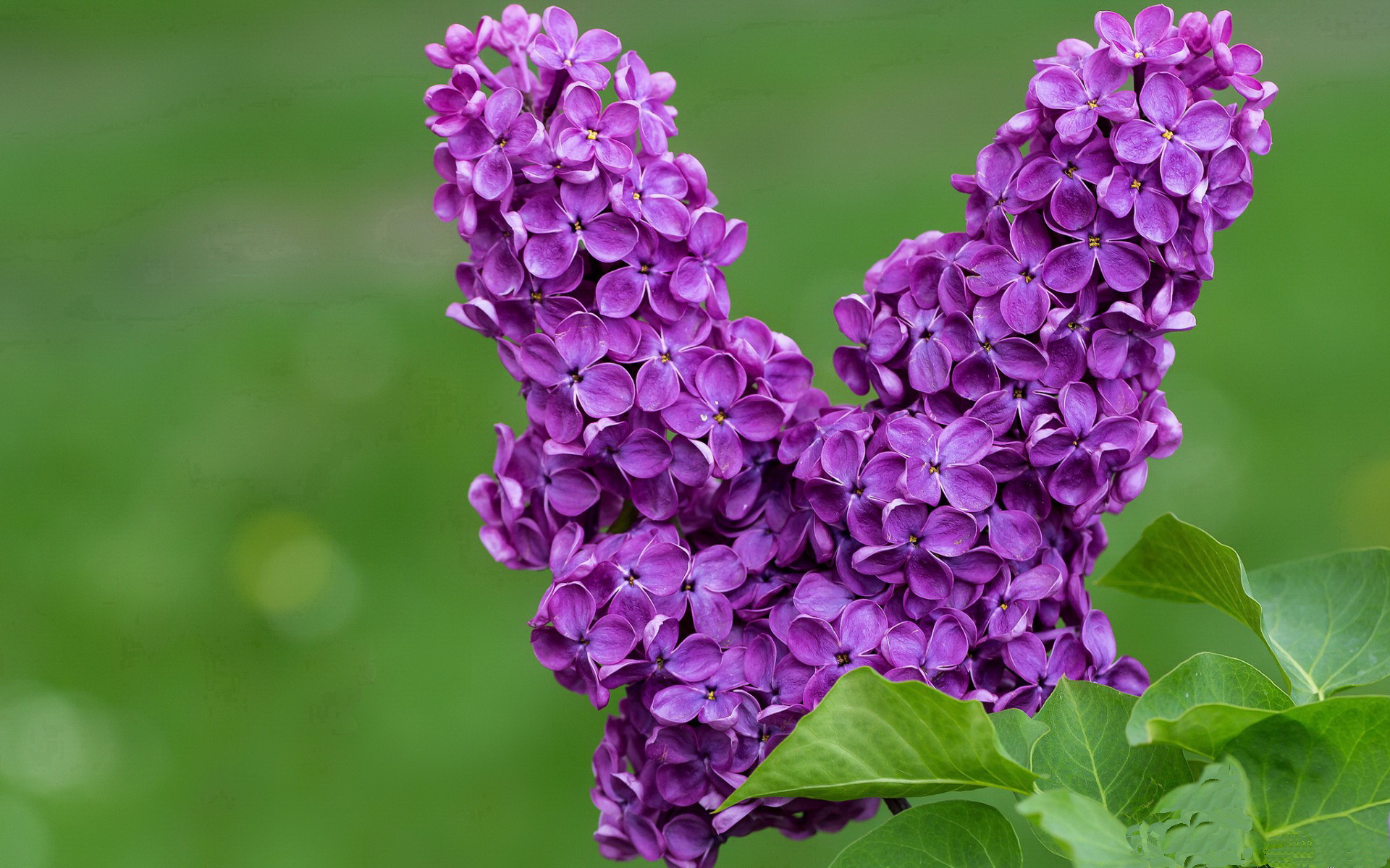 乐鱼注册-凯尔·查默斯用坚韧精神征服赛场挑战，查尔斯&amp;凯斯