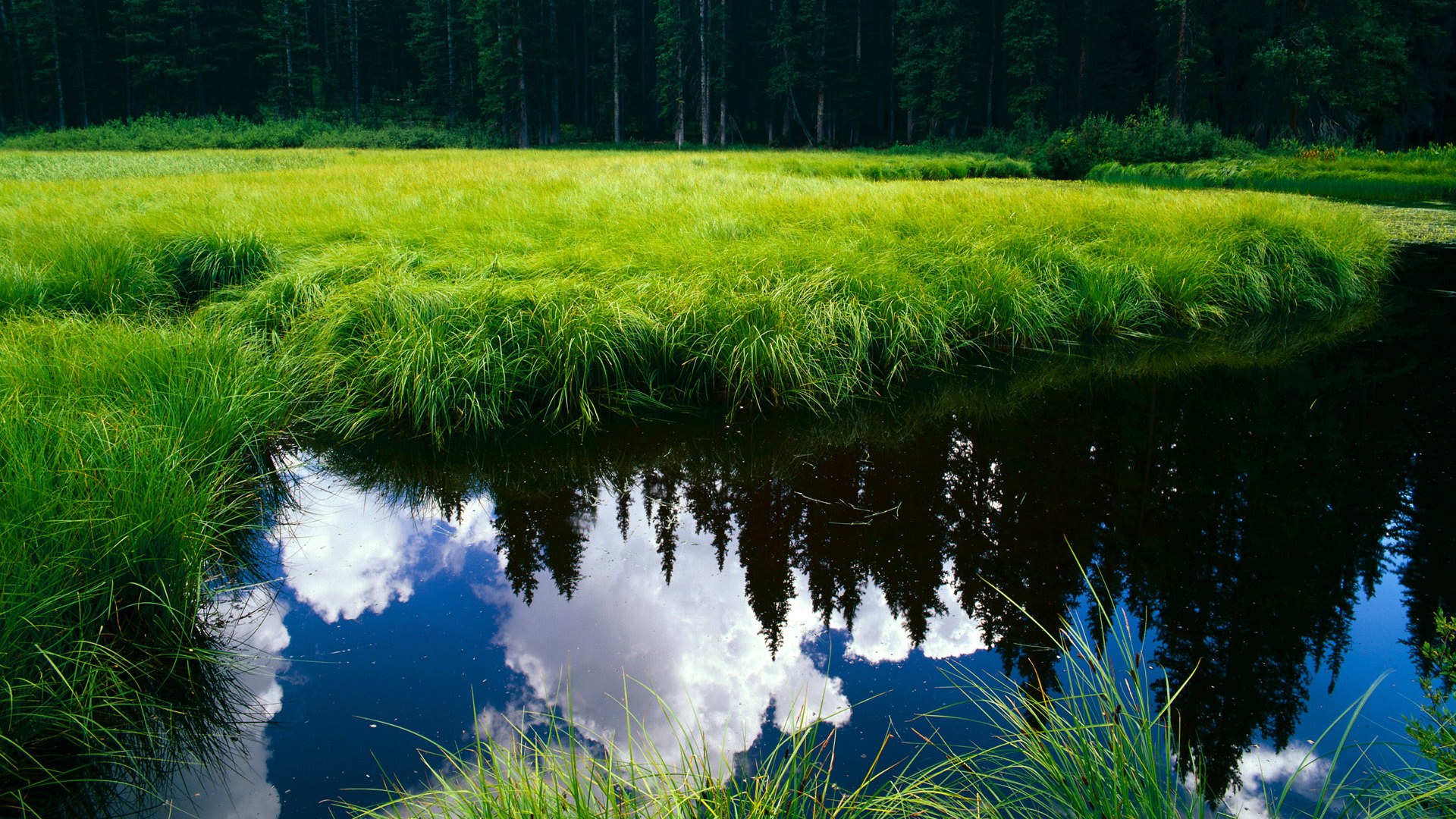 混合接力赛道上 美国队实力碾压对手，混合接力比赛