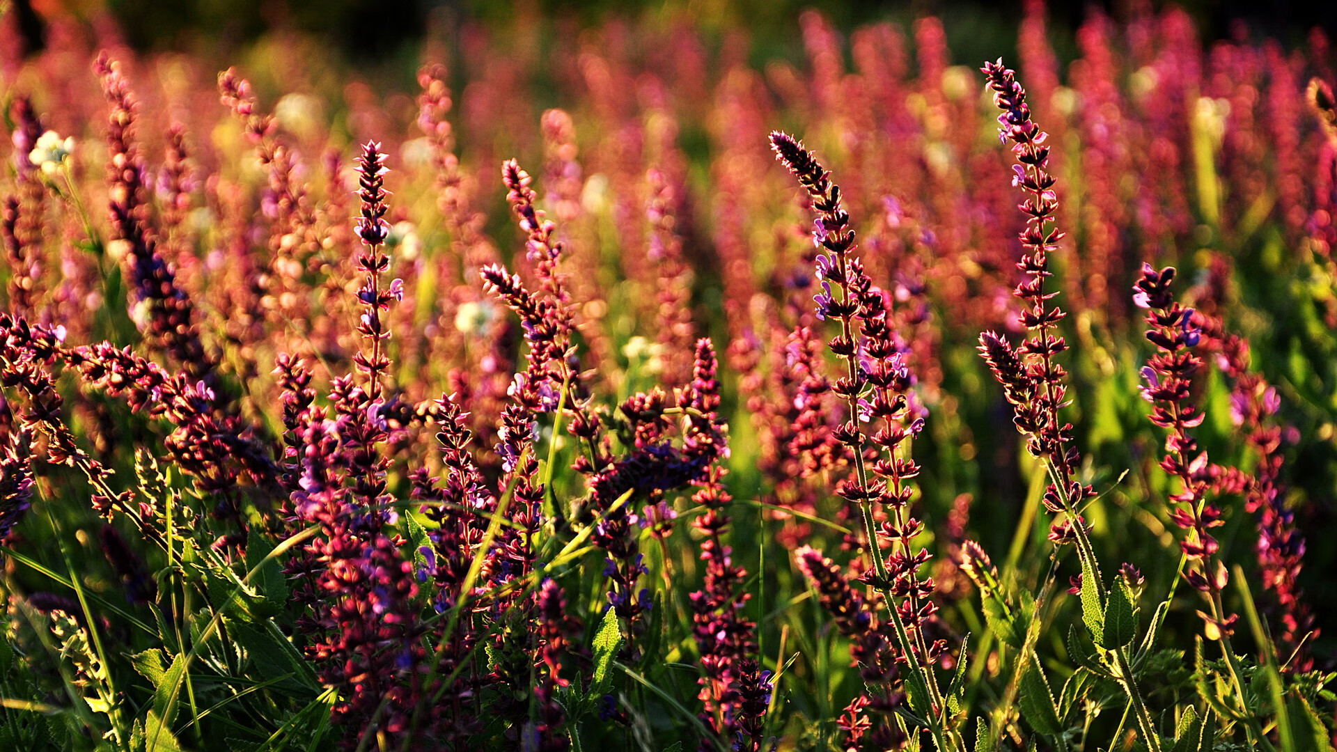 乐鱼注册-球员转会窗临近，多名国手合同传闻不断，球员转会谁说了算
